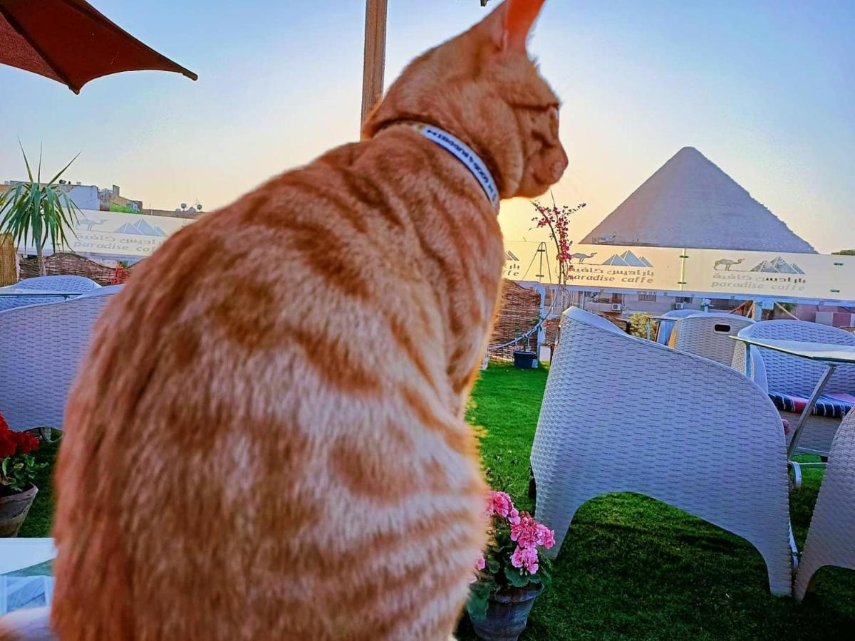 Hotel Carpet Alaadein Pyramids View à Kafret el-Gabal Extérieur photo